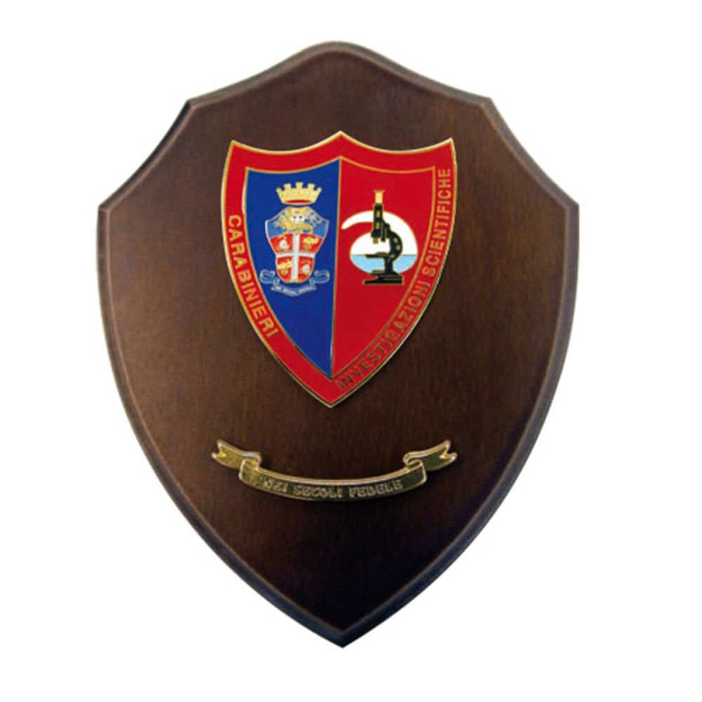 CREST MEDIO CARABINIERI INVESTIGAZIONE SCIENTIFICHE MIS CM 15,5X12,5