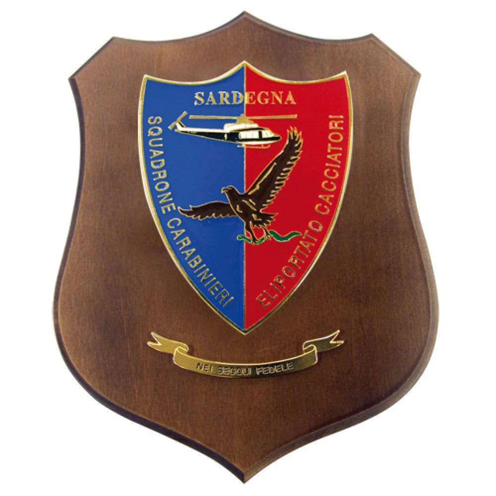 CREST SQUADRONE CARABINIERI ELIPORTATO CACCIATORI MIS CM 22,5X17,5