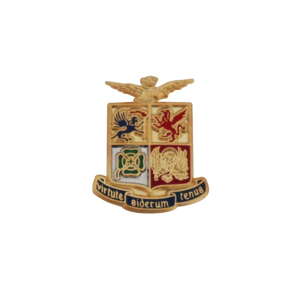 DISTINTIVO IN METALLO SMALTO LEVIGATO A.M.