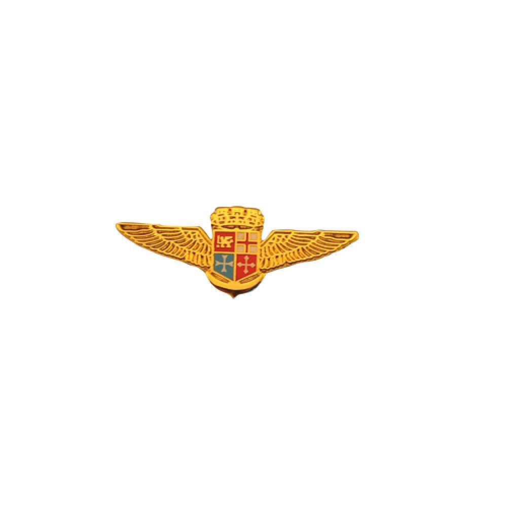 DISTINTIVO CON LOGO IN SMALTO LEVIGATO AVIAZIONE NAVALE