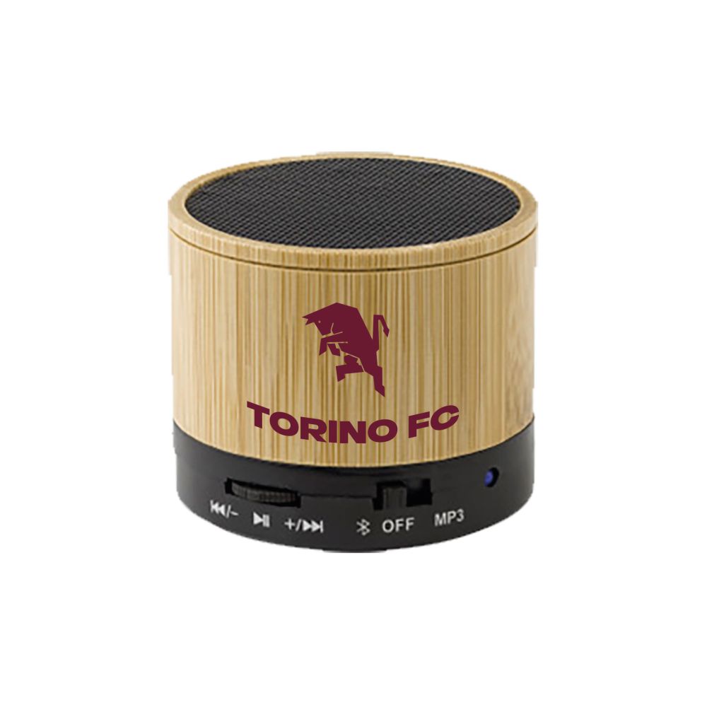 AUDIO SPEAKER WIRELESS IN BAMBUCON TORO