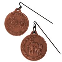 MEDAGLIA 96a ADUNATA ALPINI BIELLA