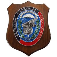 CREST CARABINIERI 1 BTG CC PARACADUTISTI TUSCANIA MIS CM 22,5X17,5