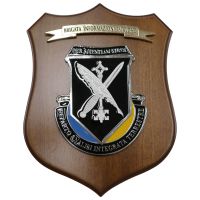 CREST IN METALLO SMALTATO BASE LEGNO 22,5X17,5CM BRIGATA INFOR. TATTICHE