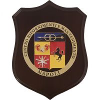 CREST IN METALLO SMALTATO BASE LEGNO 22,5X17,5CM 10 CENTRO RIFOR. MANT.