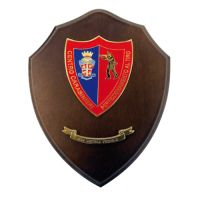 CREST MEDIO CENTRO CARABINIERI PERFEZIONAMENTO AL TIRO CM 15,5X12,5