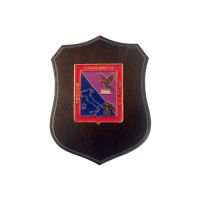 MINICREST CARABINIERI LEGIONE FRIULI FRIULI VENEZIA GIULIA