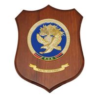 CREST R.O.S. AQUILA 3D COLORI DIM CM 22,5X17,5