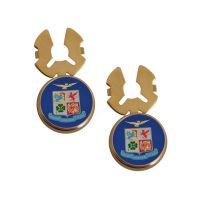 COPRIBOTTONI CON LOGO SMALTATO AERONAUTICA MILITARE