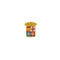 DISTINTIVO IN METALLO SMALTO A FREDDO M.M.