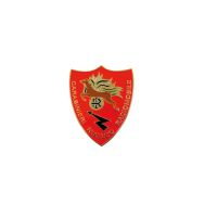 DISTINTIVO DA GIACCA CARABINIERI NUCLEO RADIOMOBILE