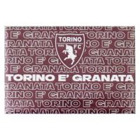 MAGNETE RETTANGOLARE STAMPATO TORINO E GRANATA