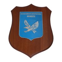 CREST IN METALLO SMALTATO BASE LEGNO 22,5X17,5CM DISTACCAMENTO AEROPORTUALE BRINDISI AERONAUTICA MILITARE