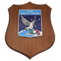 CREST IN METALLO SMALTATO BASE LEGNO 22,5X17,5CM CAE MULTI CREW AERONAUTICA MILITARE