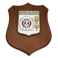 CREST IN METALLO SMALTATO BASE LEGNO 22,5X17,5CM CENTRO SELEZIONE AERONAUTICA MILITARE