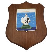 CREST IN METALLO SMALTATO BASE LEGNO 22,5X17,5CM DISTACCAMENTO AERORTUALE PANTELLERIA AERONAUTICA MILITARE