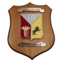 CREST IN METALLO SMALTATO BASE LEGNO 22,5X17,5CM 10 REPARTO SANITA' NAPOLI ESERCITO ITALIANO