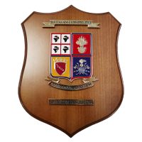 CREST IN METALLO SMALTATO BASE LEGNO 22,5X17,5CM REP SUPPORTI TATTICI GR. SARDEGNA ESERCITO ITALIANO