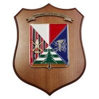 CREST IN METALLO SMALTATO BASE LEGNO 22,5X17,5CM REP SUPPORTI TATTICI PINEROLO ESERCITO ITALIANO