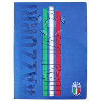 QUADERNONE CM 21X30 CON INTERNO A QUADRETTI#AZZURRI