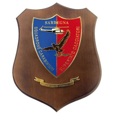 CREST SQUADRONE CARABINIERI ELIPORTATO CACCIATORI MIS CM 22,5X17,5