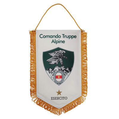 GAGLIARDETTO PENTAGONALE 35X25 CM COMANDO TRUPPE ALPINE ESERCITO