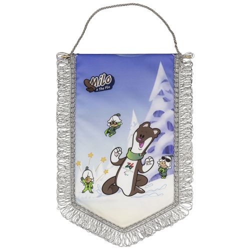 Giochi Paralimpici Invernali