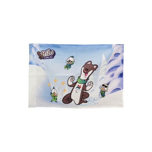 Giochi Paralimpici Invernali