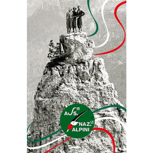Linea istituzionale