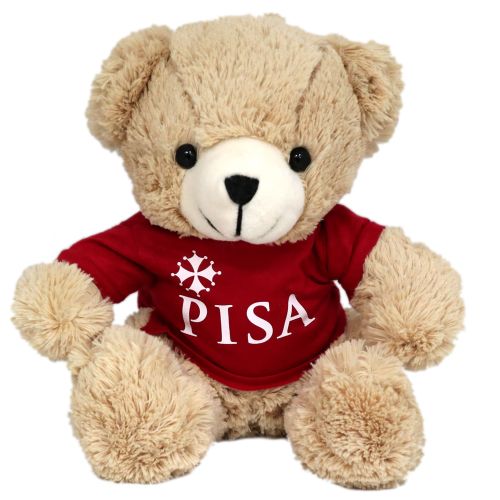 Orsetti peluches