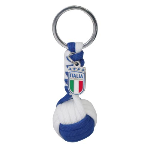 Linea istituzionale