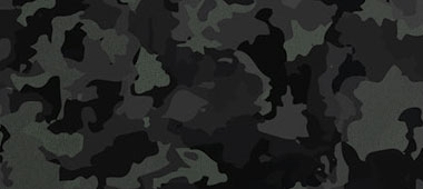 ARALDICA MILITARE