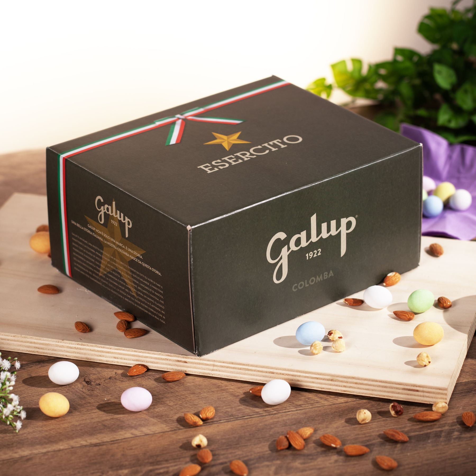 Colomba Gran Galup con Cioccolato Militare: il dolce pasquale dell’Esercito Italiano